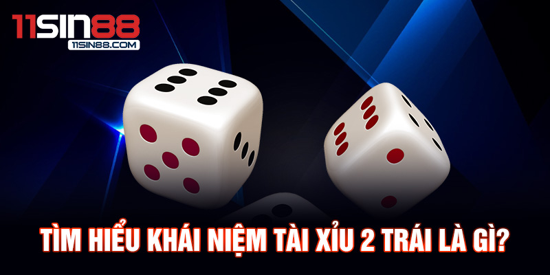 Tài Xỉu 2 Trái - Hướng Dẫn Chi Tiết Cách Chơi Kinh Nghiệm Thắng Lớn 1 Tìm hiểu khái niệm Tài Xỉu 2 Trái là gì?