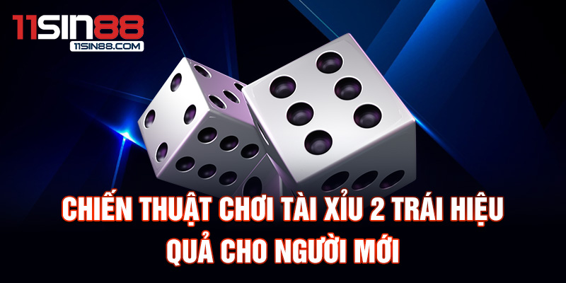 Tài Xỉu 2 Trái - Hướng Dẫn Chi Tiết Cách Chơi Kinh Nghiệm Thắng Lớn 2 Chiến thuật chơi Tài Xỉu 2 Trái hiệu quả cho người mới