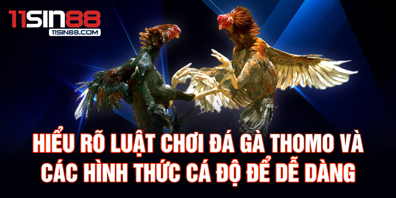Đá Gà Thomo: Giới Thiệu Về Trận Đấu Gà Chọi Nổi Tiếng 2 Hiểu rõ luật chơi đá gà Thomo và các hình thức cá độ để dễ dàng giành chiến thắng.